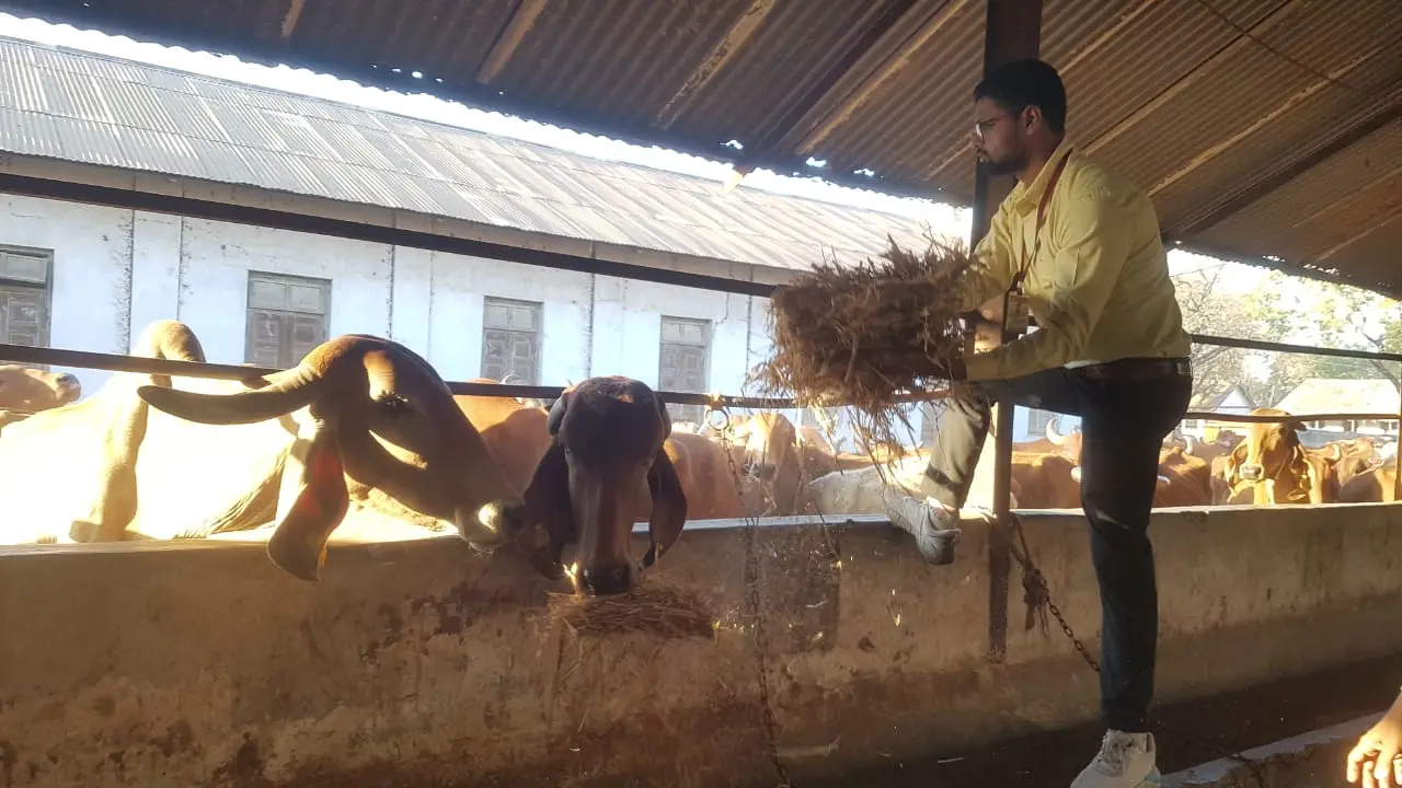 Ambe Group of Schools | Social Initiatives